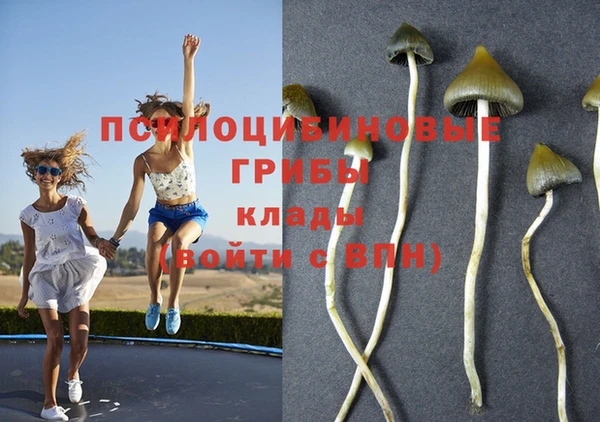 экстази Алексеевка