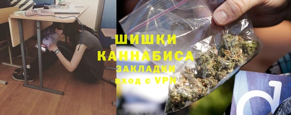spice Алзамай